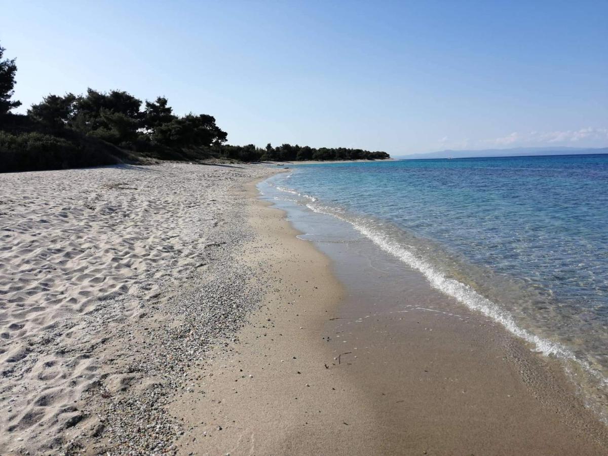 Seagull Villa Chalkidiki Pefkochori Ngoại thất bức ảnh