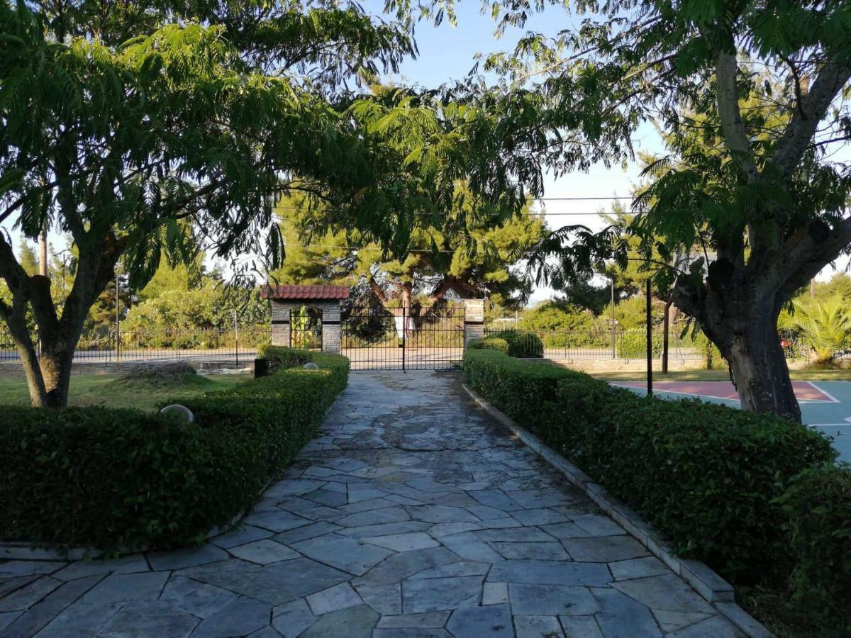 Seagull Villa Chalkidiki Pefkochori Ngoại thất bức ảnh